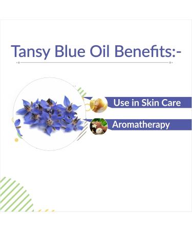 Crysalis Tansy Blue (Tanacetum Annuum) Oil |100% Pure & Natural Undiluted Essential Oil Organic Standard Tansy Oil For Cleansing Skin & Pores Reduce Redness Repair Damaged Skin - (15 ML) - Buy Online on SooperMarket.com