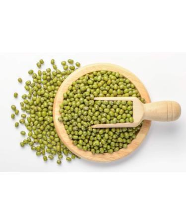 nalAmudhu Green Moong Whole (Ideal for cooking & sprouting Whole Mung Beans with skin) NON-GMO | Indian Origin-454g - Buy Online on SooperMarket.com