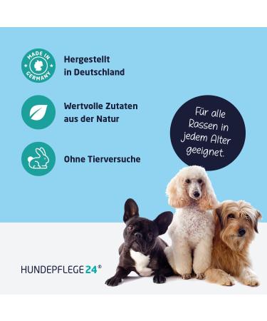 Dog Care24 Shampoo & Conditioner 500ml - Aloe Vera Formula for Healthy Glossy Fur & Easy Combability | Suitable for All Dog Breeds - Buy Online on SooperMarket.com