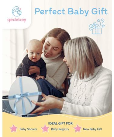 Gedebey Baby Fruit Pacifier Feeder - 3 Pack | Silicone Teethers & Feeding Spoon Set for Infants | Colorful Baby Food Forage Feeder - Buy Online on SooperMarket.com