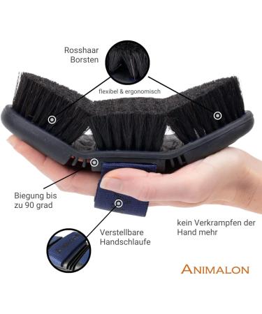 Animalon Shorthair Dog Brush | Effective Fur Care for Short-Haired Dogs | Innovative Card tsche | Blue (Large) - Shop Now! - Buy Online on SooperMarket.com