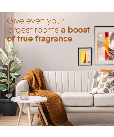 Glade Wax Melts Air Freshener and Odor Eliminator Scented Essential Oils for Home and Bathroom Mango Breeze 6 Count - Buy Online on SooperMarket.com