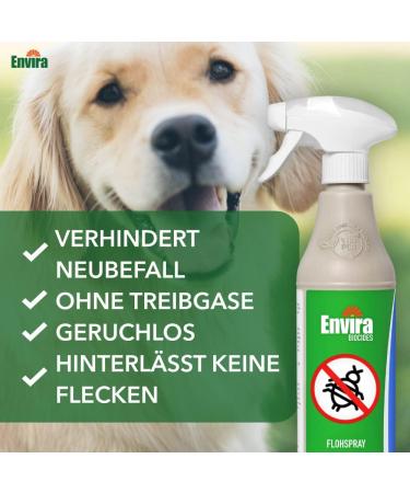 Envira Flea Spray - 2L Eco-Friendly Anti-Flea Treatment for Home | Odorless Water-Based Solution - Buy Online on SooperMarket.com