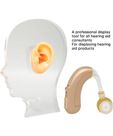 Flexible Waterproof Fake Ear Model for Hospital - Professional & Lifelike Display Mould - Buy Online on SooperMarket.com