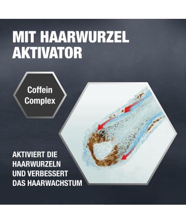 Alpecin Caffeine Shampoo C1 - 3 x 250ml | Combat Hair Loss | Strengthen Roots & Promote Growth | Men's Hair Care - Made in Germany - Buy Online on SooperMarket.com