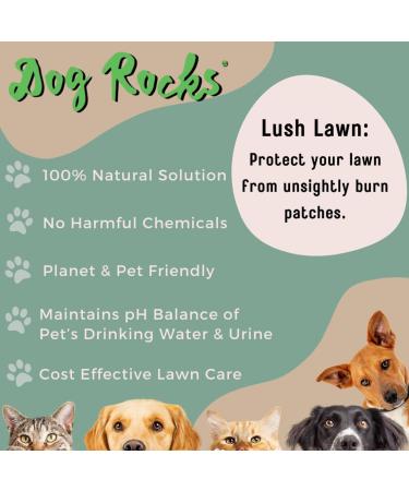 Dog Rocks - Urine Patch Preventer (200g) / Natural Dog Urine Neutraliser for Water Bowls Grass Repair Urine Burn Patch Repair 200 g (Pack of 1) - Buy Online on SooperMarket.com