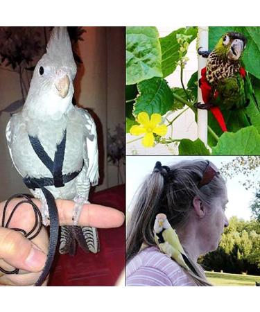 Vreplrse Adjustable Bird Flight Dishes & Easy-to-Wear Parrot Leash - Perfect Gift for Parrot Owners | International Shipping - Buy Online on SooperMarket.com