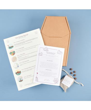 The Pet Rainbow | Small Animal Funeral Kit with Pet Coffin & Casket | For Hamsters, Guinea Pigs, Birds, Gerbils, Reptiles, Fish | Cardboard Coffins | Up to 6kg | 275mm x 150mm x 100mm - Buy Online on SooperMarket.com