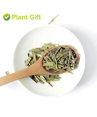 Buy PlantGift Dried Lemongrass Tea Figs - Premium Quality International Shipping - Buy Online on SooperMarket.com