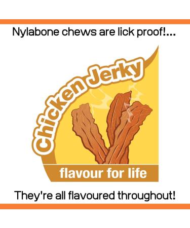 Nylabone Extreme Tough Dog Chew Toy - Shish Kebab Chicken Jerky Flavour - Small (Up to 11 Kg) - Buy Online on SooperMarket.com