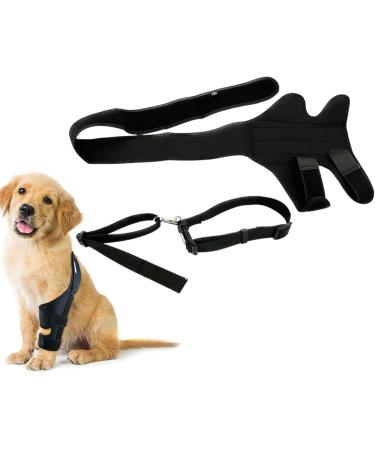 JISADER Pet Knee Support Brace for Enhanced Comfort and Mobility M 18.5 to 29.4cm - Buy Online on SooperMarket.com