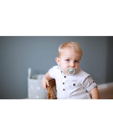 LOVI Dynamic Pacifier 18+ Months | BPA-free Silicone | Botanic Collection | 2 Pack - Blue & Green | International Shipping Available - Buy Online on SooperMarket.com
