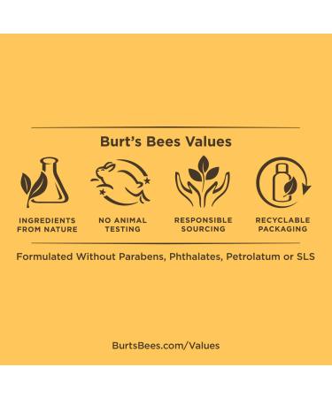 Burt's Bees 100% Natural Moisturizing Lip Shine Blush 0.5 Oz - Pack of 1 - Buy Online on SooperMarket.com