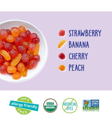 YumEarth Organic Fruit Snacks No Artificial Flavors or Dyes - Fruit Flavor -  5Oz - Pack of 6 - Buy Online on SooperMarket.com