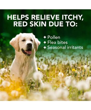 Vets Best Allergy Relief for Dogs - 250ml Spray | Fast-Acting Relief for Itchy Skin & Seasonal Allergies | Shop Internationally - Buy Online on SooperMarket.com