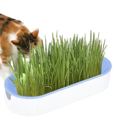Youding Cat Grass Growing Kit Planter Tray Catnip Box Chewing Kitten Plant Set for Snacks Soil Free Snacks Digestion Pet Food Indoor Nursery Balcony Patio Blue
