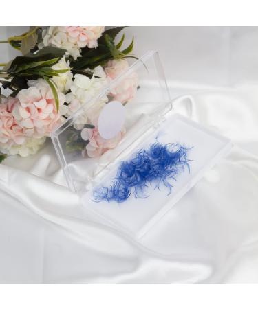 VNE 500 Fans Colorful Lash Extensions | Premade Volume & Mega Volume Fans | Blue 6D | 14mm D Curl - Buy Online on SooperMarket.com