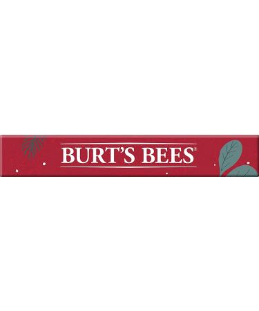 Burt's Bees Holiday Gift Set - 4 Classic Beeswax Lip Balms for Stocking Stuffers - Buy Online on SooperMarket.com