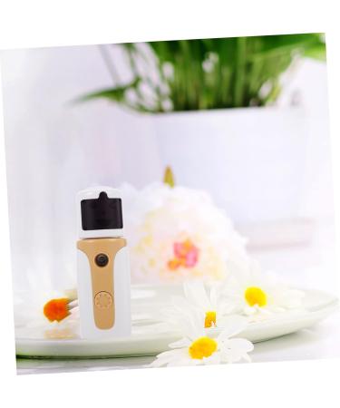 Baluue 2 Sets Hydrating Instrument Facial Mister Steamer Water Mister for Face Mist Sprayer Pink Abs - Buy Online on SooperMarket.com