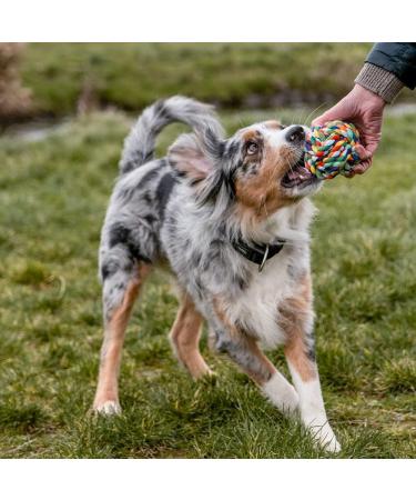 Nobby Colorful Rope Toy Ball 10 cm - Durable & Fun Multicolored Design for Dogs - International Shipping Available - Buy Online on SooperMarket.com