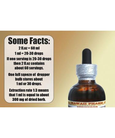 Organic Uva Ursi Alcohol-Free Liquid Extract - 4 oz Glycerite - Buy Online on SooperMarket.com
