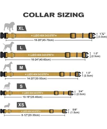Tagme Personalized Reflective Dog Collar for Medium Dogs - Embroidered with PET Name & Phone Number - Khaki M M (1 Pack) - Buy Online on SooperMarket.com