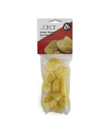 Jakar Artist Natural Sea Sponges (10)