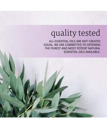 Now Eucalyptus Essential Oil 16 Fl Oz - Pure & Natural Therapeutic Grade - Buy Online on SooperMarket.com