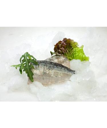 Minerva Portugal Sardines in Olive Oil 360g (3 cans x 120g) - Premium Quality - Buy Online on SooperMarket.com