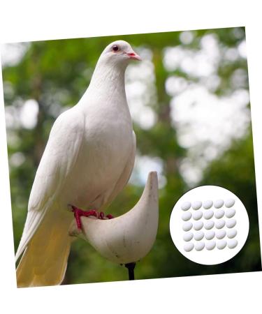 BCOATH 60 Pcs Water Injection Fake Pigeon Eggs White Fake Eggs Parrot Eggs Compact Eggs Breeding Props Craft Eggs for Painting Artificial Eggs Toy Eggs Supplies Meat Pigeon Plastic Whitex2pcs 2.9X4.1CMx2pcs - Buy Online on SooperMarket.com
