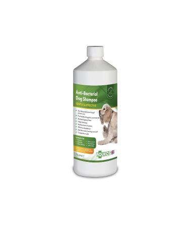 Aqueos Antibacterial Antiviral & Antifungal Dog Shampoo for Itchy Skin Minor-Wounds Cuts Grazes Skin Irritations & Sensitive Skin | Soothing & Deodorising Medicated Shampoo Alternative | 1 Litre