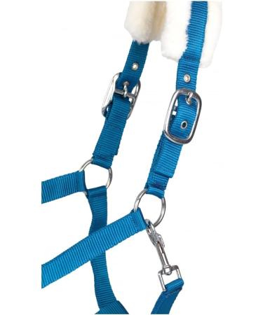 RL24 Halter with Plush Padding - BASICLINE in 6 Colors for Shetty Pony Thoroughbred Warmblood | Turquoise Shetty - Buy Online on SooperMarket.com