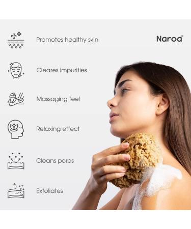 Naroa Natural Sea Sponge for Bathing | Firm Exfoliating Body Scrubber | Eco-Friendly & Renewable | Medium Size | Men & Women - Buy Online on SooperMarket.com