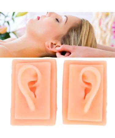 Ear Model Silicone Ear Model Acupuncture Practice Human Soft Teaching Left Right Ear Model - Buy Online on SooperMarket.com
