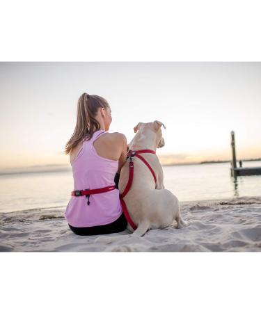 Ezydog Jogging Leash for Small & Medium Dogs - Reflective Elastic Bungee 210cm - Ideal for Jogging Outdoors - Buy Online on SooperMarket.com
