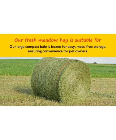 Shorefields Fresh Meadow Hay - Animal Feeding Hay Bale for Rabbits Guinea Pig Horses Hamsters Ponies - Nutritious Grasses & Wildflowers Blend - Green & Dust Free - Buy Online on SooperMarket.com