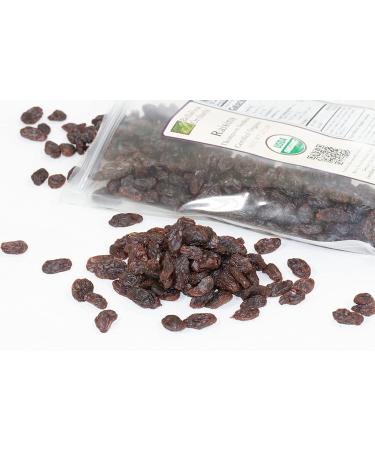 Bella Viva Orchards Organic Dried Thompson Seedless Raisins (2.5 lbs) - No Sugar Added - Dried Fruit Healthy Snack