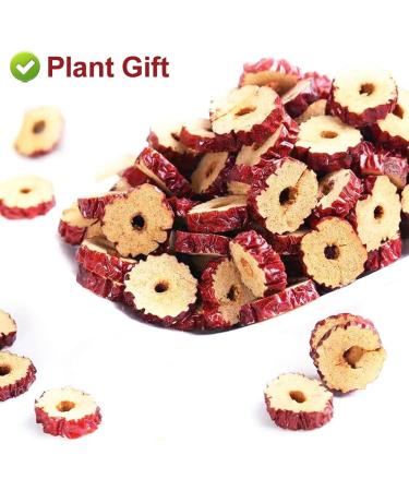 Flower 2 (80G-Red Dates) - Buy Online on SooperMarket.com