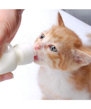 DoubleWood Nursing Bottle Kit with Replacement Nipple for Newborn Kittens, Puppies, Rabbits, Small Animals - Buy Online on SooperMarket.com