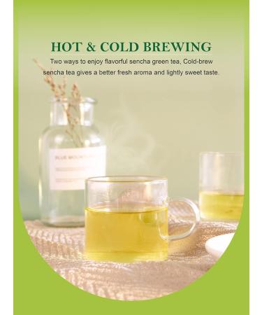 TeeLux Sencha Green Tea Loose Leaf | Premium Shade Grown Gyokuro | Smooth & Refreshing Taste | Hot & Cold Brew | 114g/4oz - Buy Online on SooperMarket.com