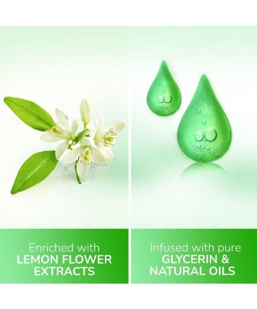 Pears Pure & Gentle Hand Wash with Lemon Flower Extracts | Moisturizing Liquid Soap with 98% Pure Glycerin | Pack of 2 - 250 ML - Buy Online on SooperMarket.com