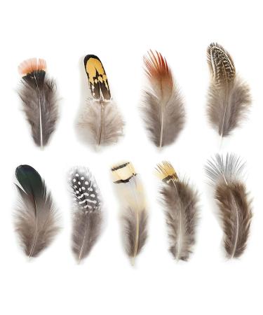 180pcs 9 Styled Natural Feathers Assorted Mixed Feathers for Jewelry and Dream Catcher Crafts 9 STYLEs/180 PCs