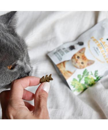 Gimcat Soft Snacks Salmon with Parsley - Sugar-Free Protein-Rich Cat Treats - 60g Bag - International Shipping Available - Buy Online on SooperMarket.com