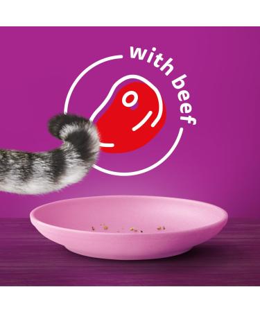 WHISKAS Adult Dry Cat Food - Beef Selections Flavour 9.1kg Bag - Buy Online on SooperMarket.com