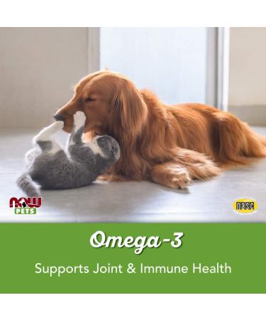 Now Foods Omega-3 for Dogs & Cats - Fish Flavor Softgels 180 ct | Pet Health Support - Buy Online on SooperMarket.com