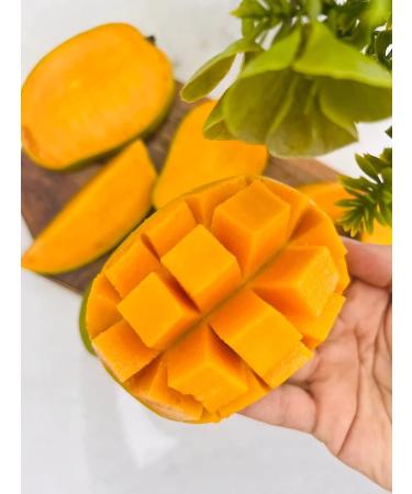 veenas Kesar Mango | 12 Units (App 4KG) |Juicy Mangoes |Fresh Mango Fruit | Natural Fruit | Summar Fruit | Indian Origin - Buy Online on SooperMarket.com
