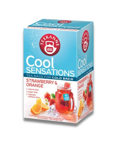 Teekanne Strawberry & Orange Cold Brew TeaInfusion Ice Cool Sensations All Natural Real Fruit with Hibiscus Rosehip Apple 18 Teabags