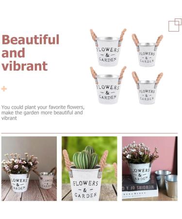 Homoyoyo 8 Pcs Tin Bucket Metal Flower Bucket The Office Desk Decor Galvanized Metal Vase French Country Pitcher Desk Waste Basket Metal Tin Plating Iron Flower Arrangement 13X12cmx2pcs Assorted Colorx2pcs - Buy Online on SooperMarket.com