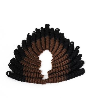 3 Packs Eunice Hair Saniya Curl synthetic ombre lichen hair braids free hook gift crochet braids bouncy lured saniya curls 20 roots/pack (10 inch 1b 30) 10 inch (3 packs) 1b 30