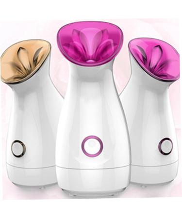Healeved 2pcs Facial Care Steamer Handy Mist Face Steamer Sprayer Facial Spa Steamer Facial Steamer - Buy Online on SooperMarket.com